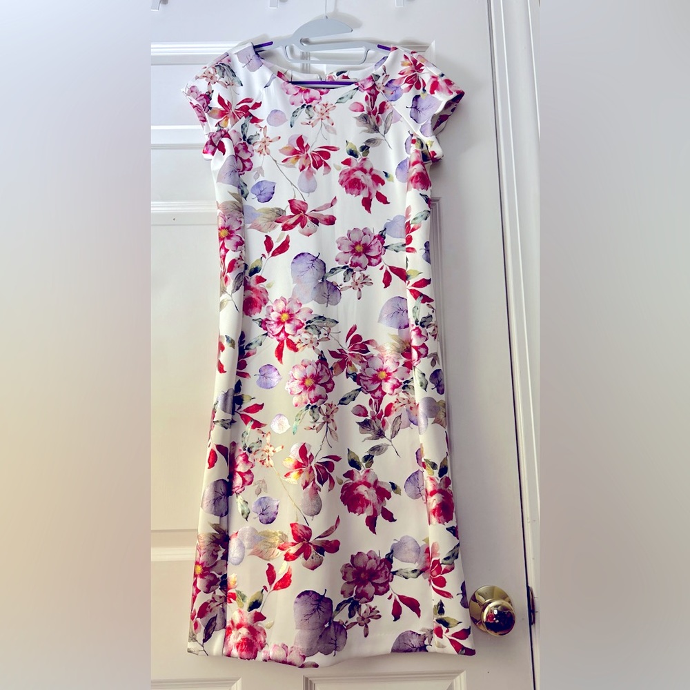 Beige by eci Scuba  dress. BNWOT Size 8.